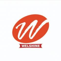 Welshine Syntex logo icon