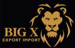 Big X Export Import logo icon