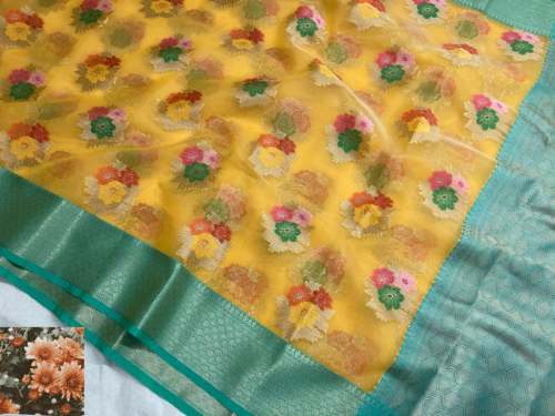 Banarasi organza silk saree by Naaz Collection