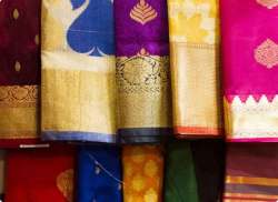 Chiffon Embroidered Regular Saree – Kayal Fashion