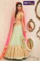 Festive Wear Beautiful Lehenga Choli