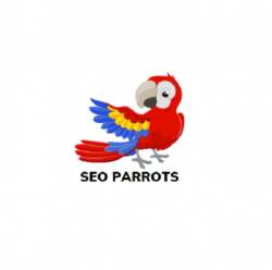 SEO PARROTS BANGLORE logo icon