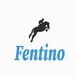 Fentino Fabrics Pvt Ltd logo icon