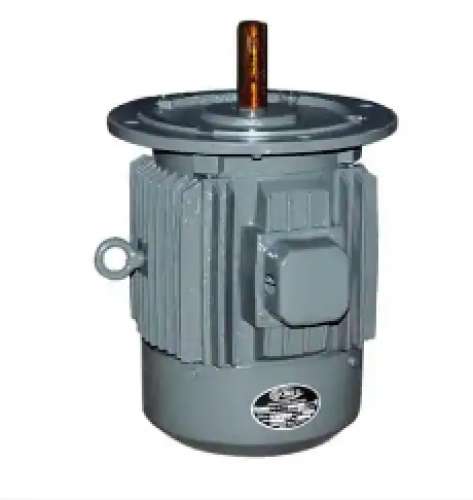 Shree Ram Electrical TRIPLE D MOTORS Flange Motors