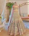 LG-414 Embroidered Lehenga Choli
