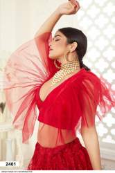 Party Wear Net Lehenga Choli by Aawiya Inaayat -1 