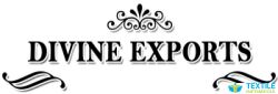 Divine Export logo icon