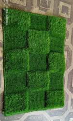 Artificial grass carpet nd door mat