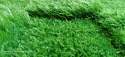 Artificial grass carpet nd door mat thumb 3