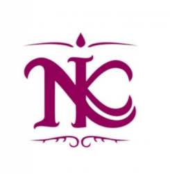 NK Silks logo icon