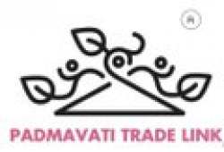 Padmavati Trade Link logo icon