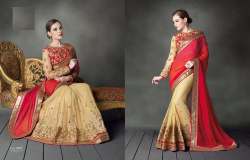 Exclusive Designer Sarees