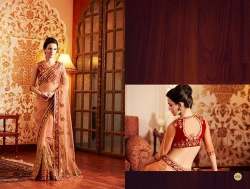 Ladies Heavy Designer Sarees