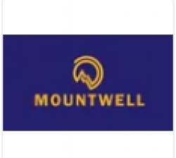 Mountwell retail india llp logo icon