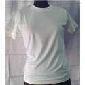 mens-plain-t-shirts