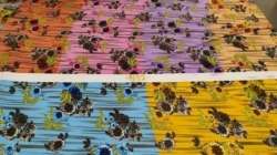 Sarina Printed Lycra Fabric