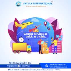 Sky Fly International Courier logo icon