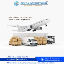 International Courier & Cargo Services -9920216805