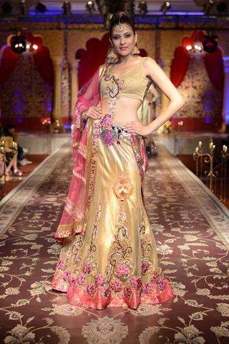 Fancy Embroidered Lehenga