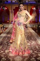 Fancy Embroidered Lehenga
