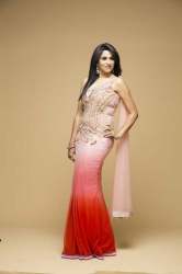 Pink Shaded Designer Lycra Saree