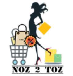 Noz2Toz logo icon