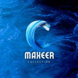 maxeer collection logo icon