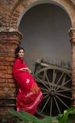 Red Puja Plain Linen Saree