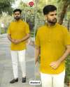 Stylish Short kurta in Chikan Work Fabric thumb 3