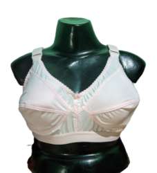 Buy Double Layer Zivame Brand Bra At Online Price at Rs.350/Piece in mumbai  offer by Zivame