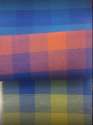 check-multi-color-shirting-fabric