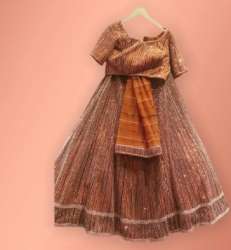Ladies Exclusive Wedding Lehenga