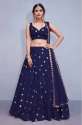 Ladies Georgette Lehenga