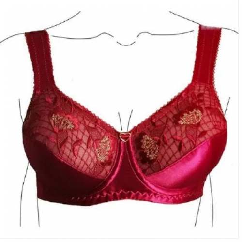 New Collection Red Bra For Women by Farhad Traders