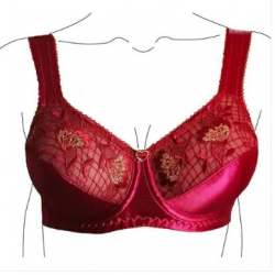 New Collection Red Bra For Women