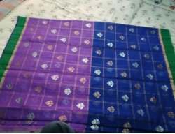 Real Zari Gold Kota Doria Handloom Saree 