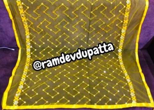 Trendy Net Embroidered Dupatta 