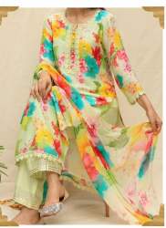 Beautiful Multi Color Ladies Dress from Barnala