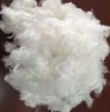 Recycled Bright  Staple Polyester Fibre