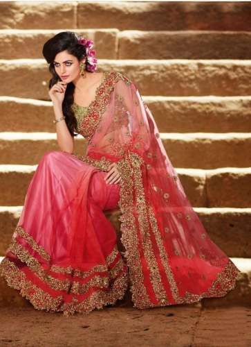 Wedding Wear Net Embroidered Saree by Colors Lifestyle