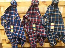 Party Wear Checks Shirt for Men