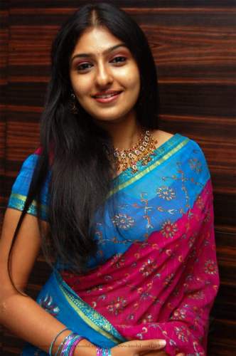 Designer Blue and Pink Embroidered Saree