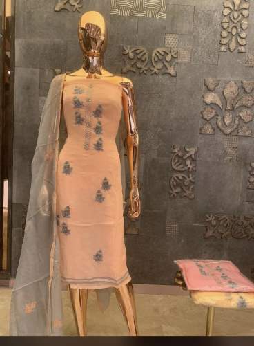 Elegant Organza Kurti Dupatta set  by Handa Silk Store