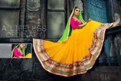 Roop nikhar chaniya choli