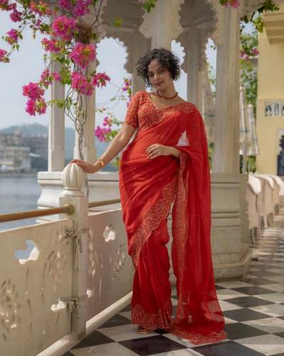 Beautiful  Heavy Tebby Organza Saree  with diamond work