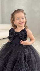 Black Color Soft Net Zari Work Gown