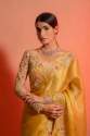 FANCY SOFT ORGANZA EMBROIDERY SAREE  thumb 2