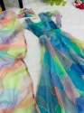 Fancy Tabby Silk Organza Gown thumb 11