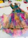Fancy Tabby Silk Organza Gown thumb 13
