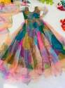 Fancy Tabby Silk Organza Gown thumb 14